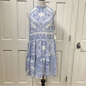 Blue and White Sleeveless Dress